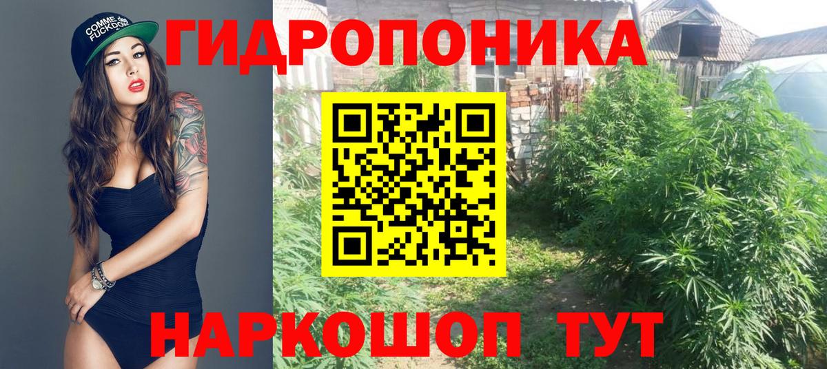 МЕФ Елабуга